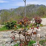 Mountain View 2br House With Garden & Free Parking Ioannis Ylation Saranti Nicosia